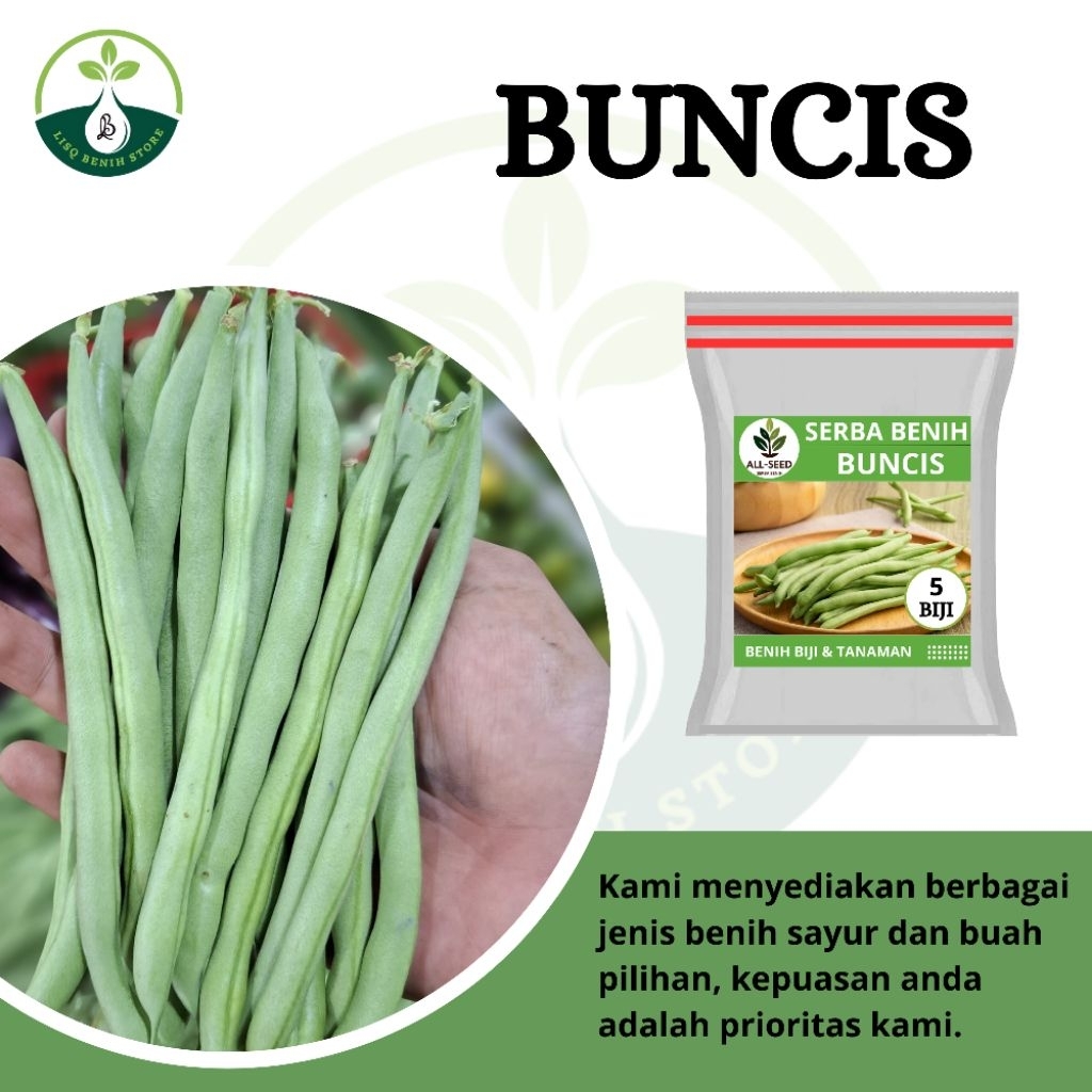 { 5 BIJI } Benih buncis / bibit buncis