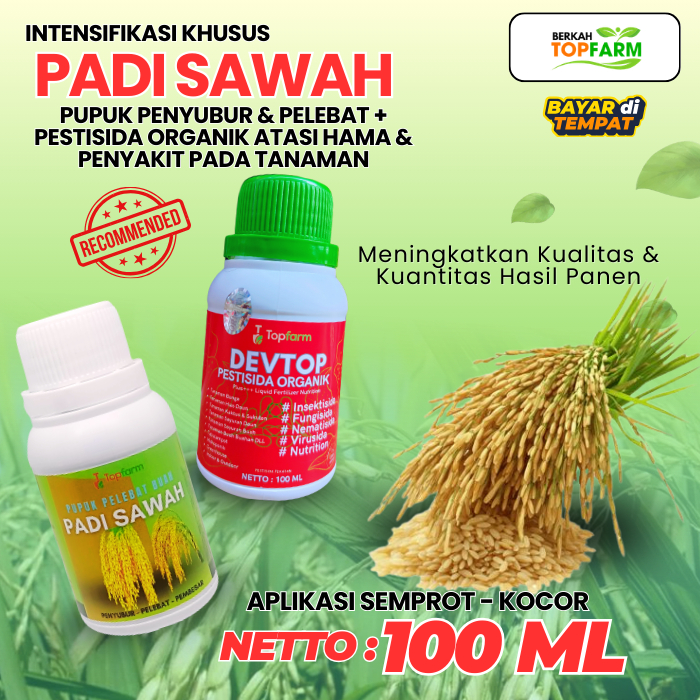 Pupuk Semprot Padi Sawah Terbaik / Pupuk Padi Sawah / Pupuk Khusus Tanaman Padi Sawah / Pupuk Padi P