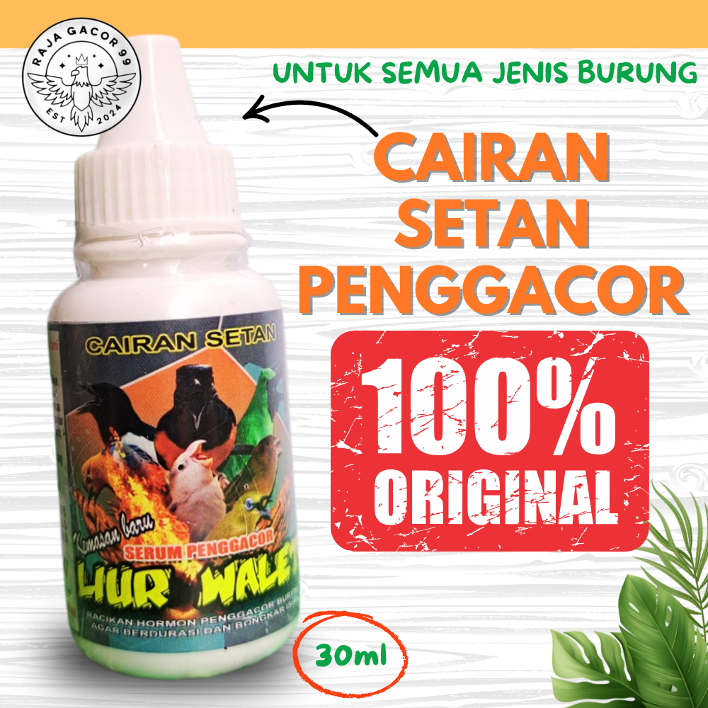 CAIRAN SETAN Liur Walet Suplemen Vitamin Penggacor burung