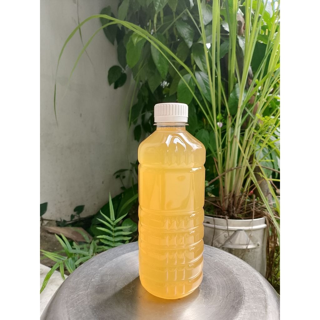 Probiotik B14 Asli Prof Sukardi Kemasan 500ml