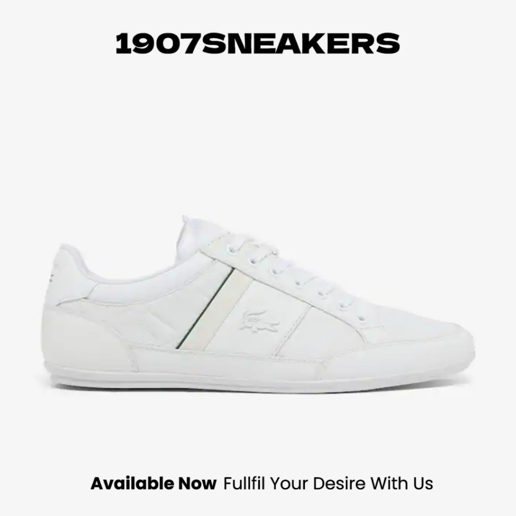 Sepatu Sneakers Pria Lacoste Chaymon Leather - White LAC51CMA0036