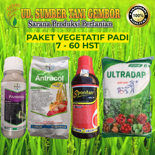 PAKET VEGETATIF - Ambition 500ml - Antracol 70 WP 250gr - Spontan 400 SL 400ml - Ultradap 1kg