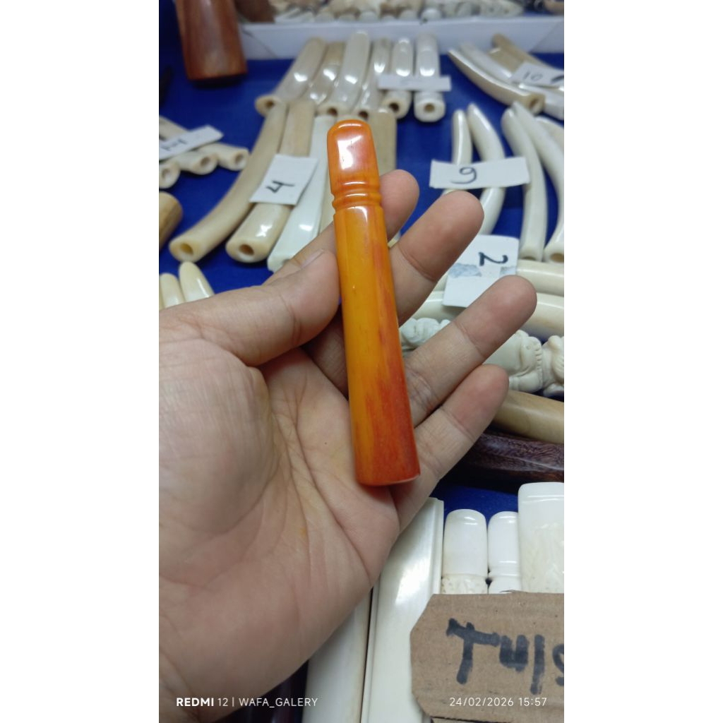 once tulang sapi import fermentasi