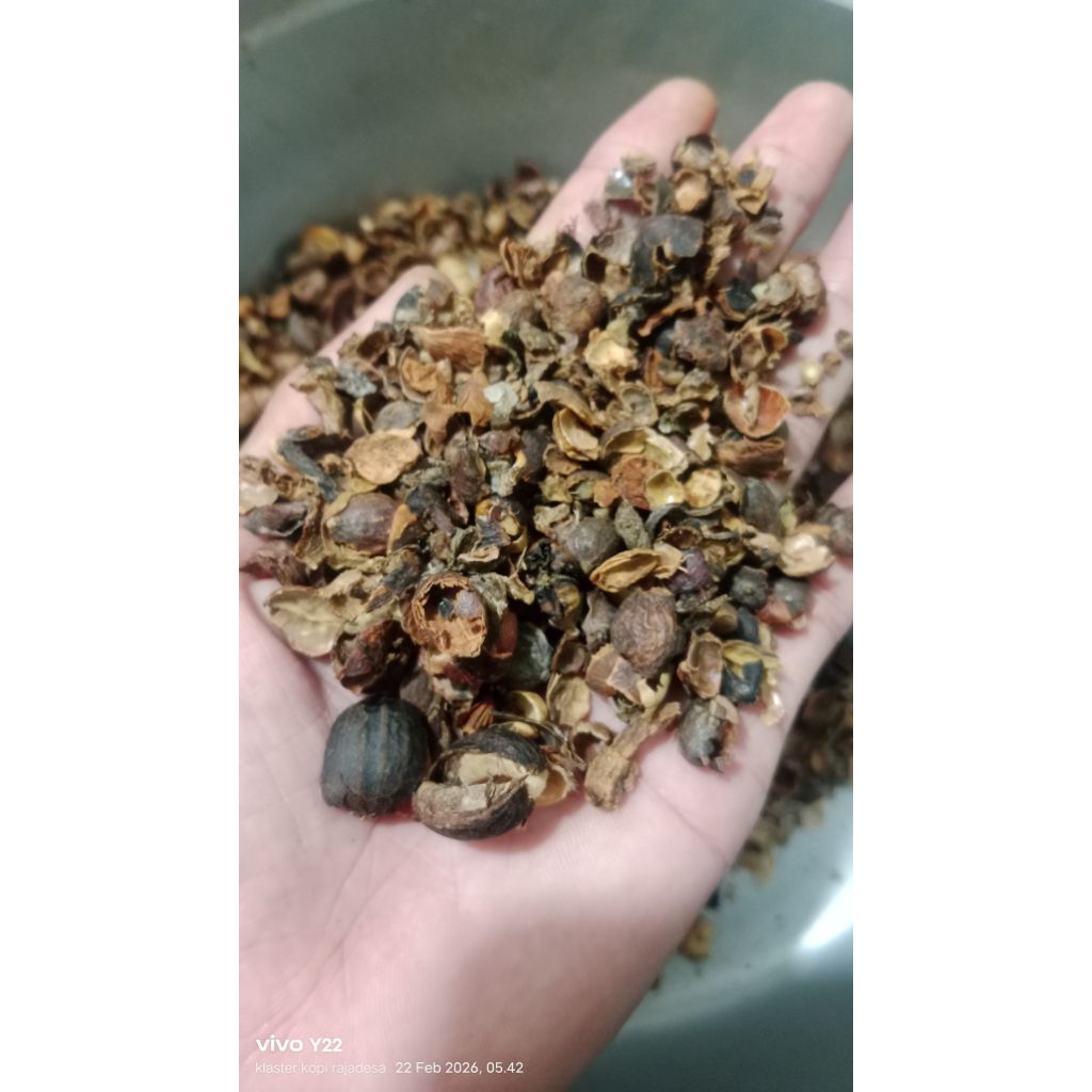 sekam dedak kopi
