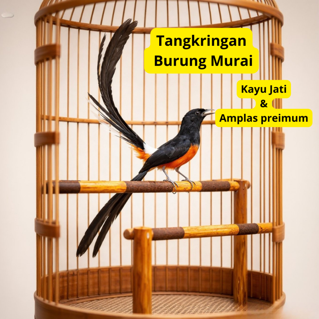 Ebod Jaya Tangkringan Burung Murai Batu Kayu Jati Amplas Premium – Merek Ebod Jaya untuk Sangkar Kan