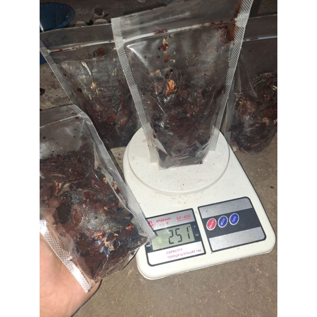 PROMO 1 KG kluwek kupas,pucung, siap diolah untuk bumbu rawon