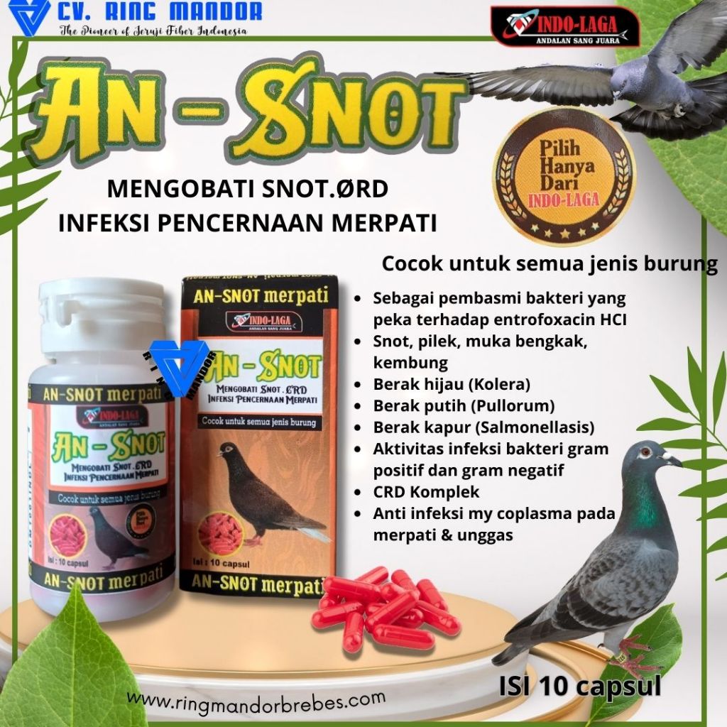 an-snot obat snot anti snot burung SNOT.ØRD