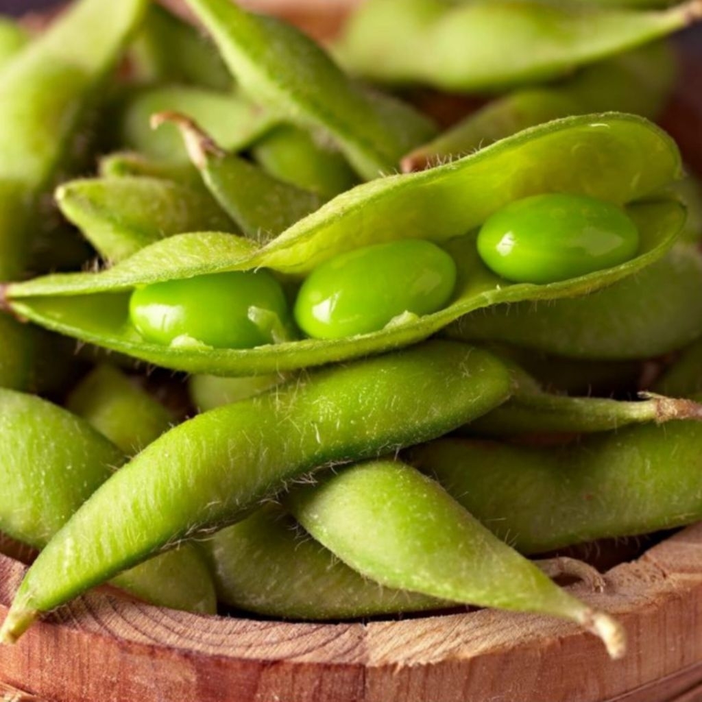 Kacang Edamame Fresh 1 KG
