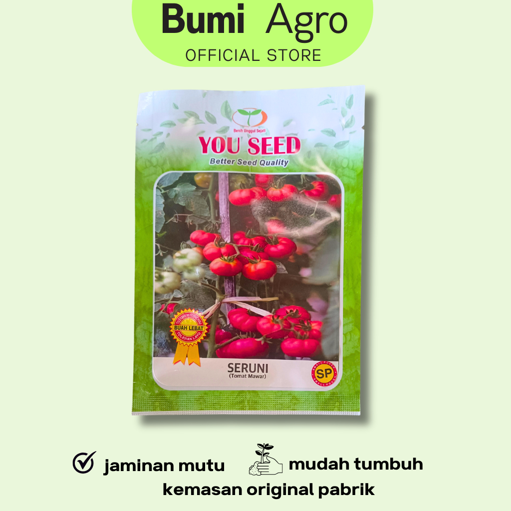 Benih Tomat Mawar Buah SERUNI 200 Seed Cap YOUSEED Unggul Buah Lebat Tomat Keriting