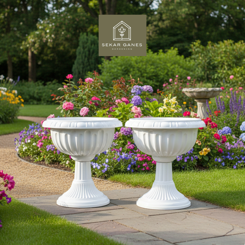 SG POT SHALLOM JUARA Pot bunga tinggi Pot pajangan Pot Cantik Pot Piala bagus kuat cantik tebal kuat