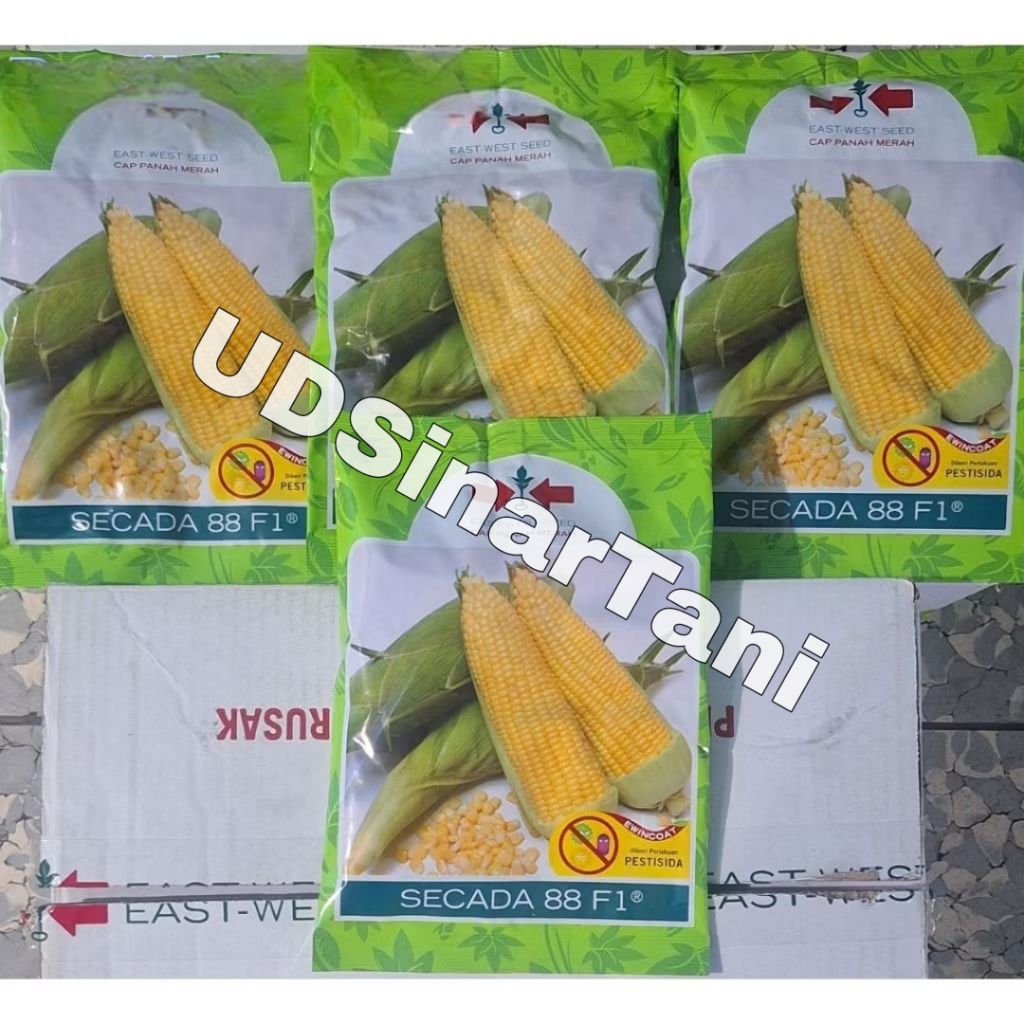 4 Bungkus Benih /Bibit Jagung Manis Secada 88 F1 isi 1.750 Butir