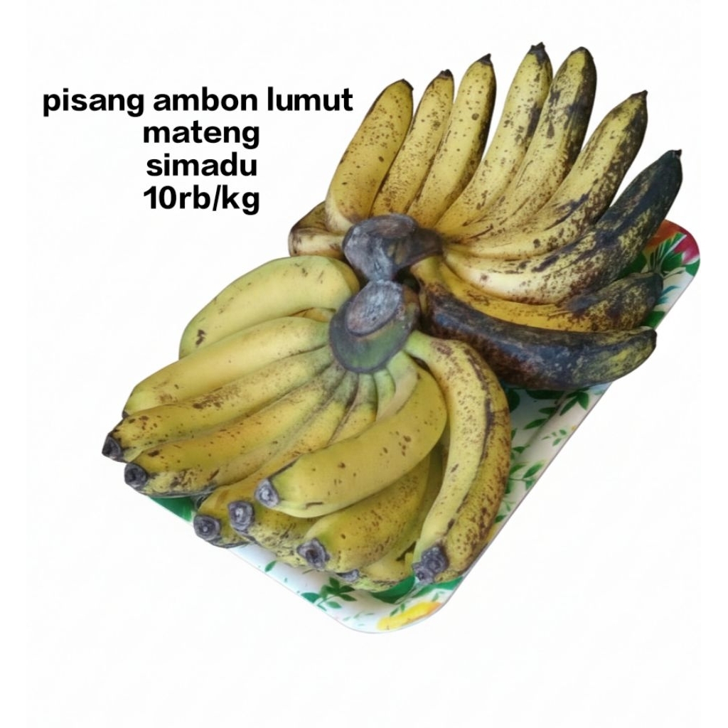 pisang ambon lumut simadu premium 10rb/kg