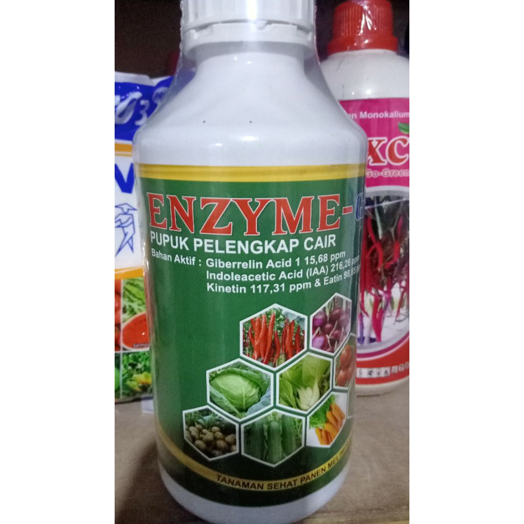 Enzyme