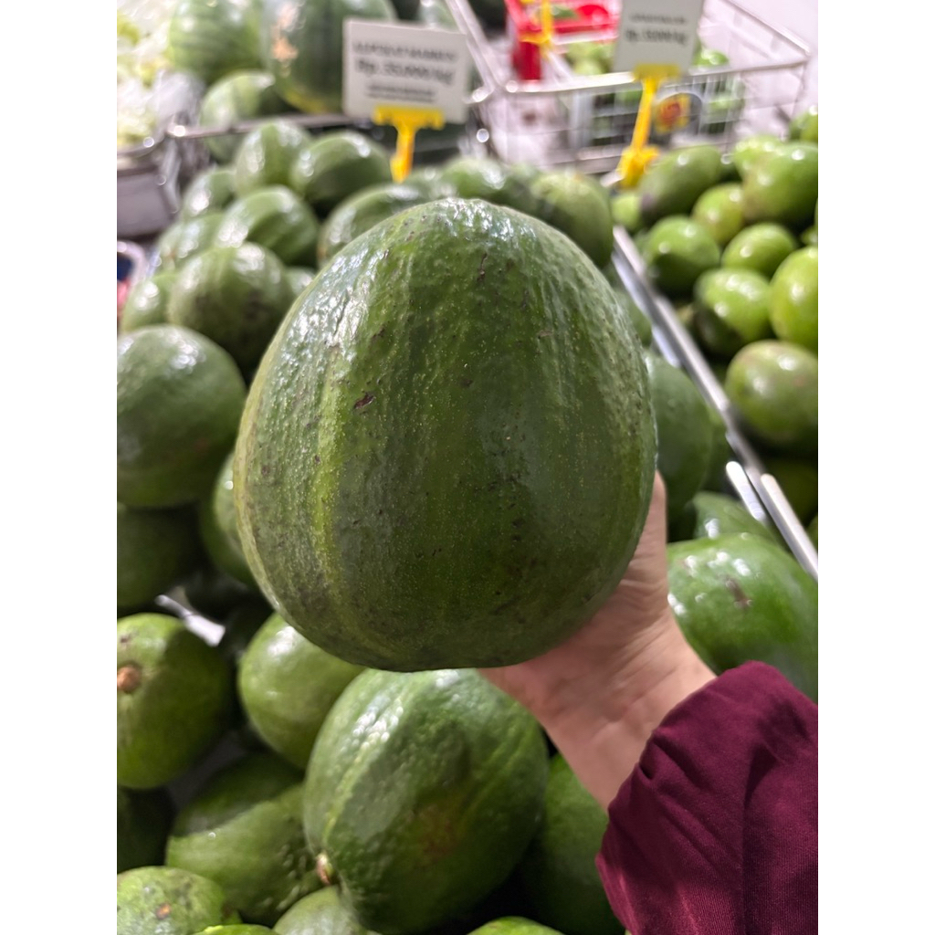 Alpukat LOKAL alpukat MARKUS alpukat mentega alpukat aligator