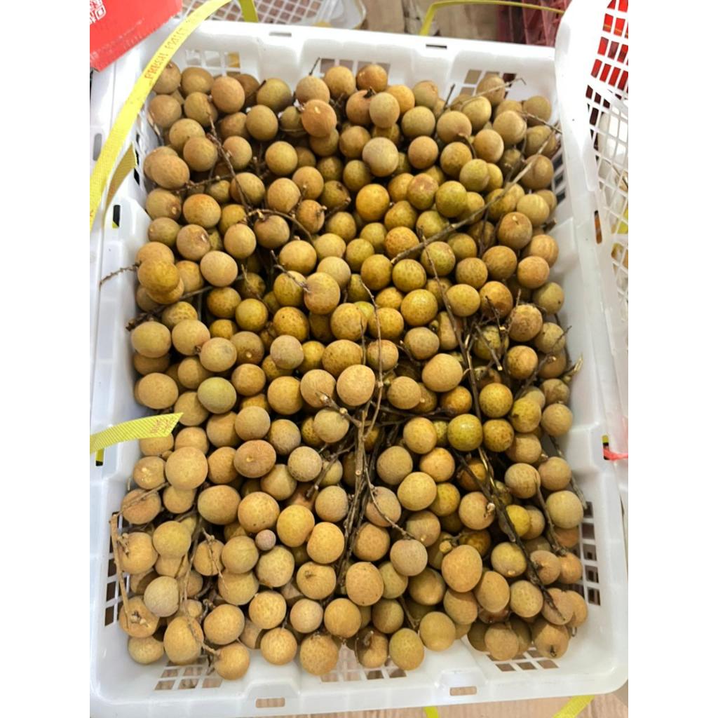 Kelengkeng/buah kelengkeng/kelengkeng segar