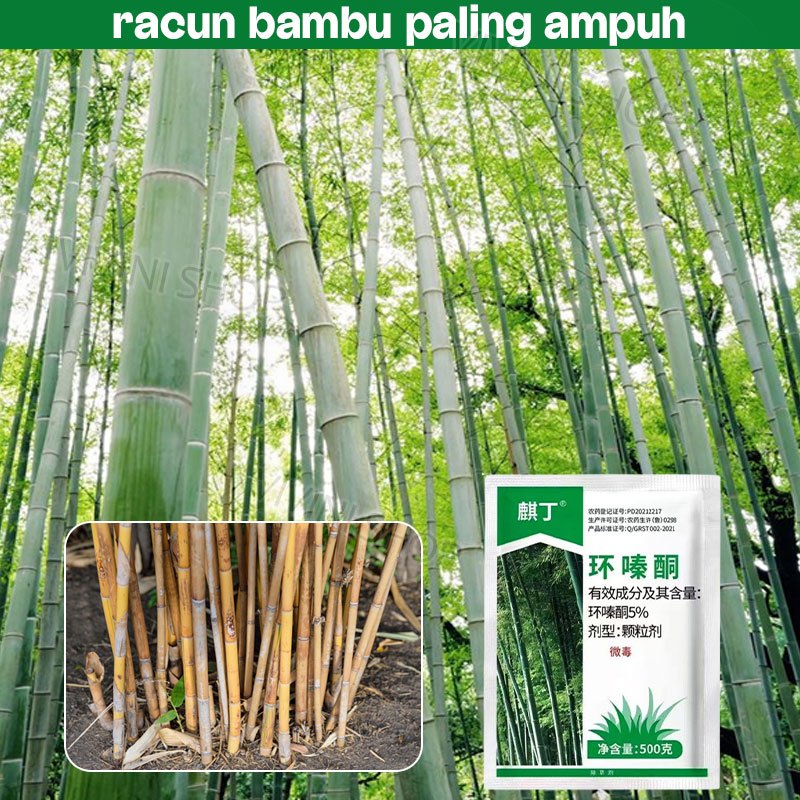 Racun Bambu Paling Ampuh Racun Pembunuh Bambu Dan Pohon Obat Pembasmi Pohon Racun Pohon + Akar Tree 