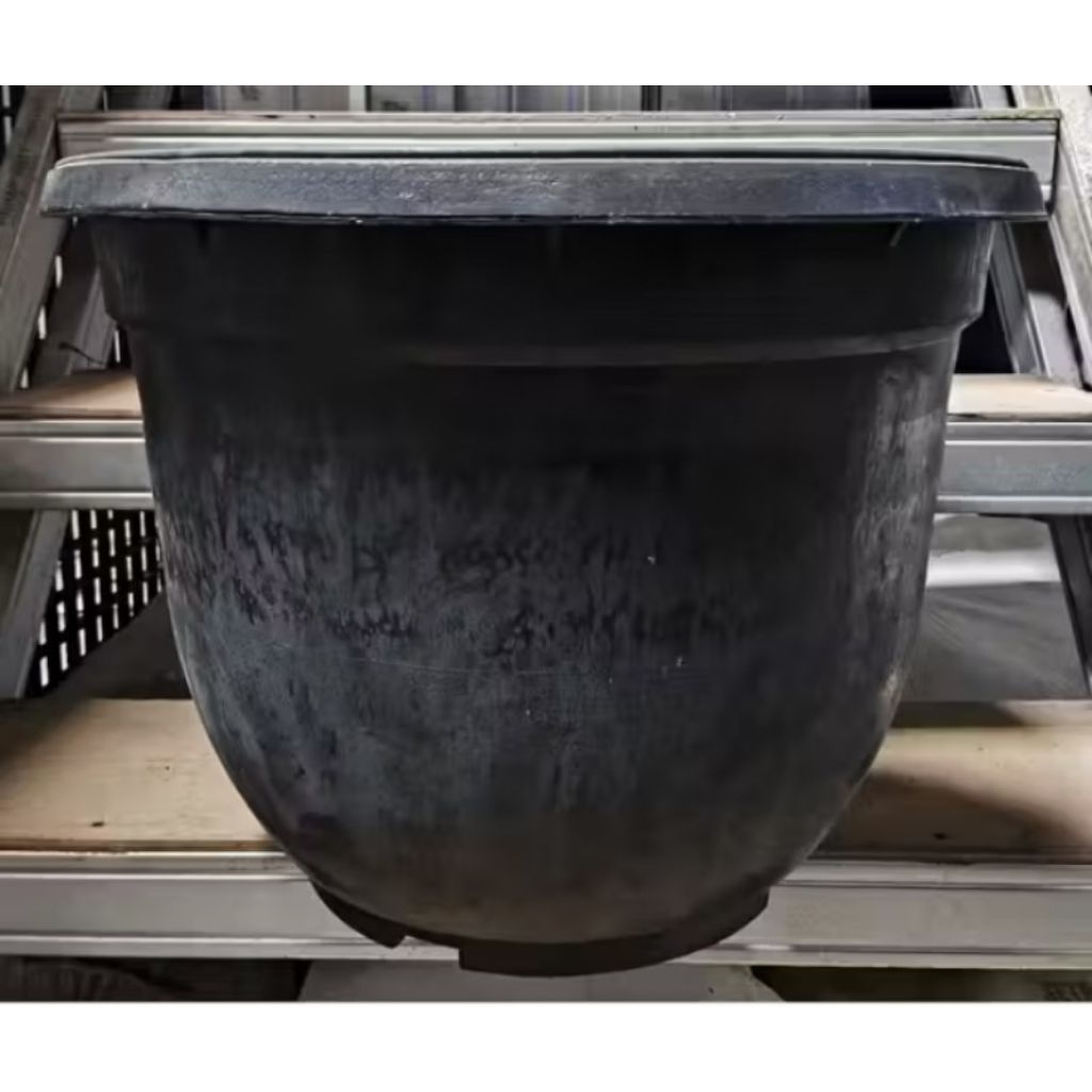 Pot Karet Yasindo 50 Kuda Mas Hitam Jumbo