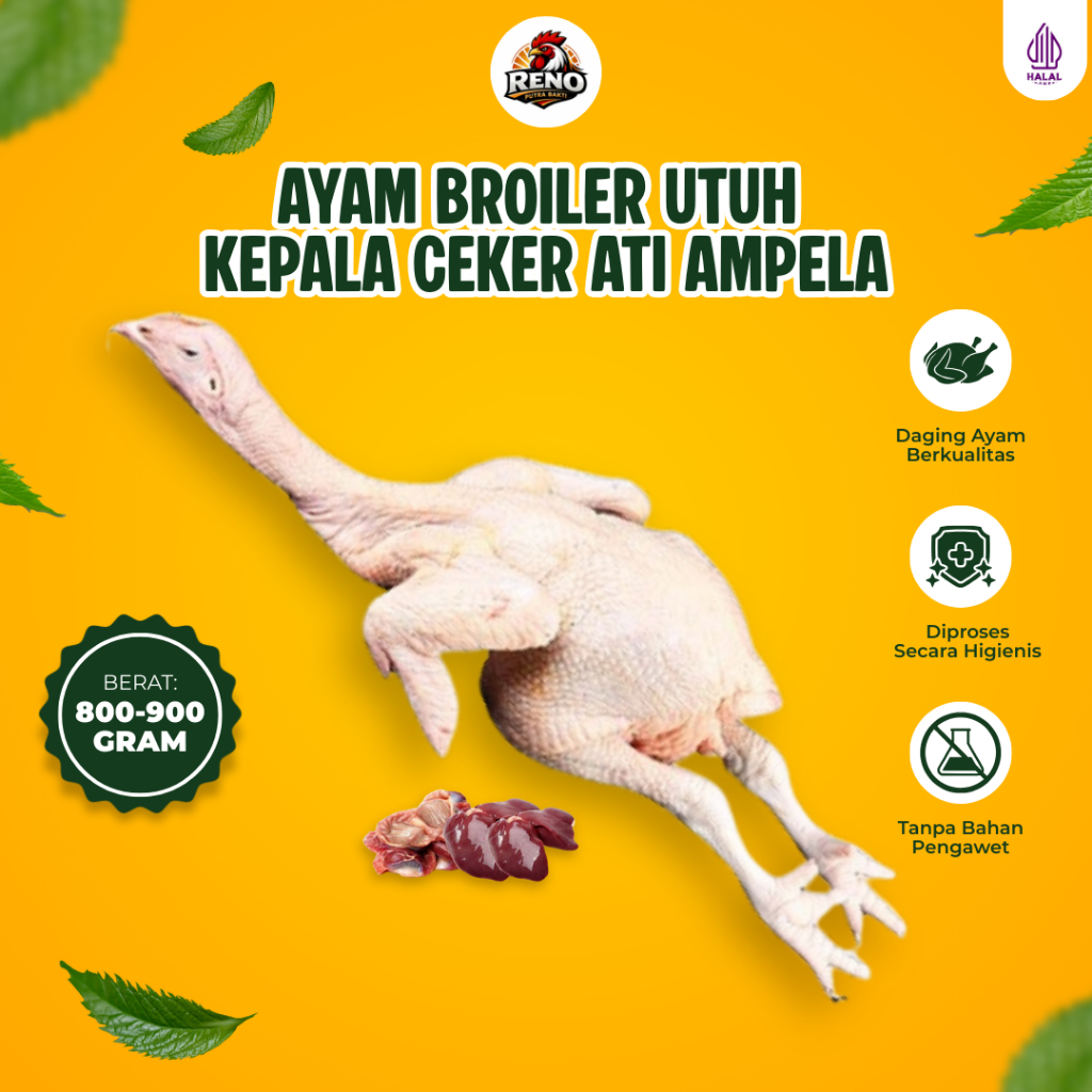 Ayam Potong Utuh Broiler Kepala Ceker Ati Ampela 800 900gr Parting 4/8/10 Fresh Chicken