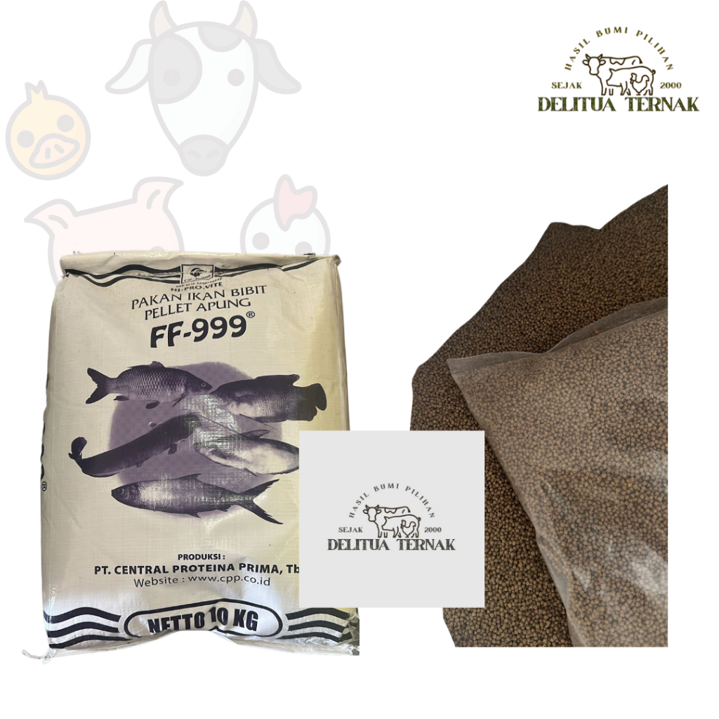 FF-999 Per 1KG - Pakan Ikan Bibit Pellet Apung