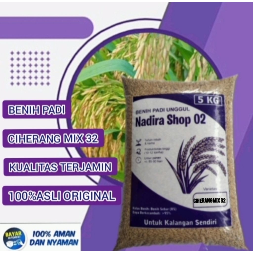 Benih bibit padi ciherang mix 32 kemasan 5kg kualitas terjamin
