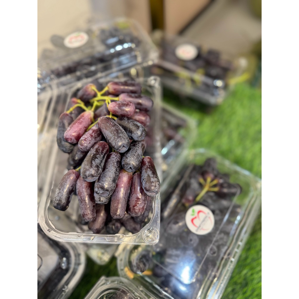 Buah Anggur Hitam Saphire Anggur Jari Anggur Manis Tanpa Biji