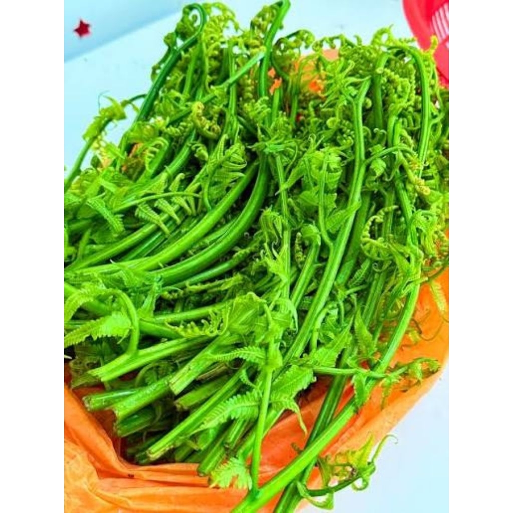 Sayur Pakis Segar 500 Gram - Tingkatkan Produksi Sel Darah Merah