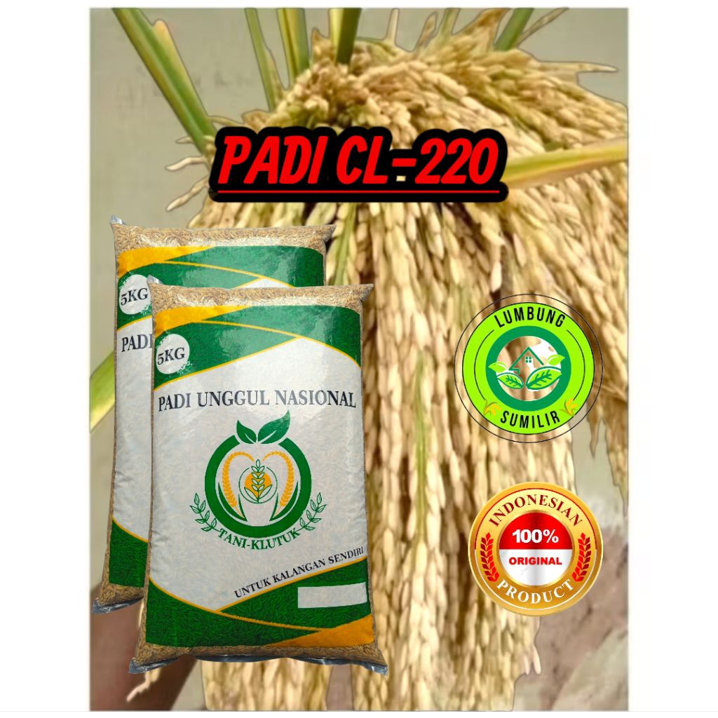 Benih Padi Unggul CL 220 Kemasan 5KG
