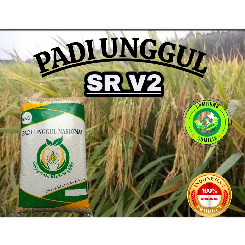 Benih Padi Unggul SR V2 Kemasan 5kg