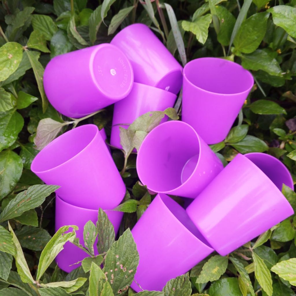 12 pcs / 1 lusin gelas jamu gelas kopi gelas plastik ungu