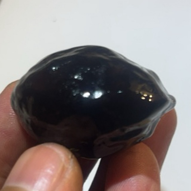 MUNCANG KEMIRI ADU JAWAAN ORI SI ABAH