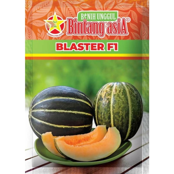 Biji 5 Benih Blewah BLASTER F1