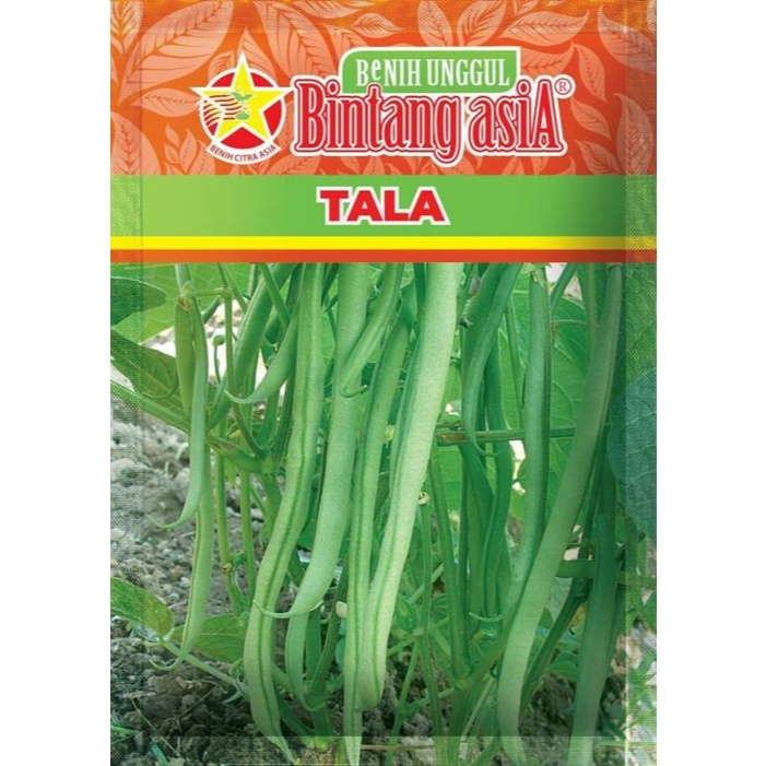 Biji 15 Benih Buncis TALA