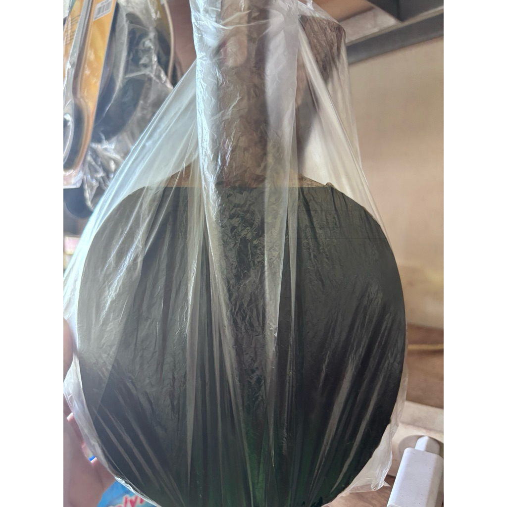 alat pukul pimpong set bonus bola pimpong