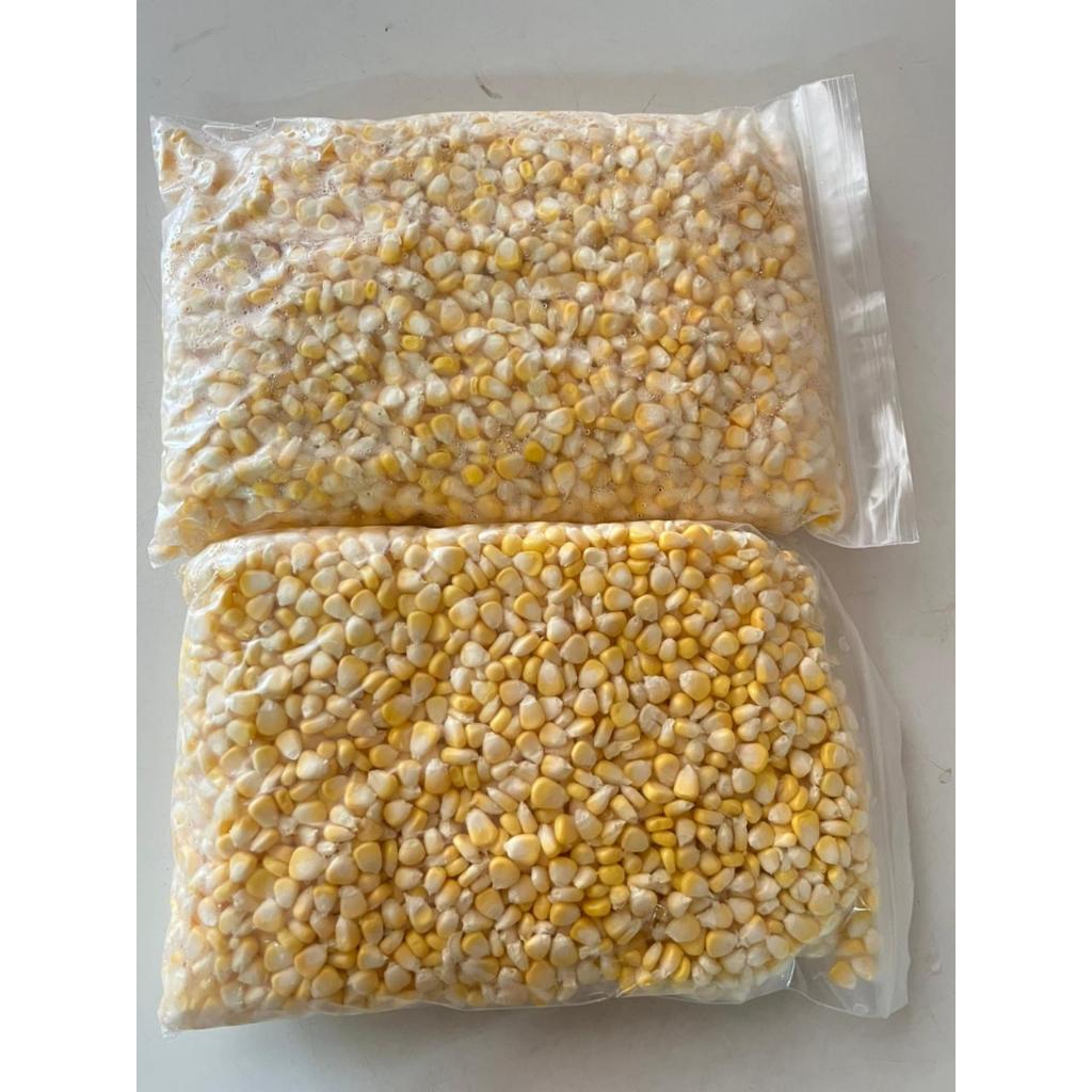 Jagung pipil,jagung pipil manis beku,jagung pipil frozen
