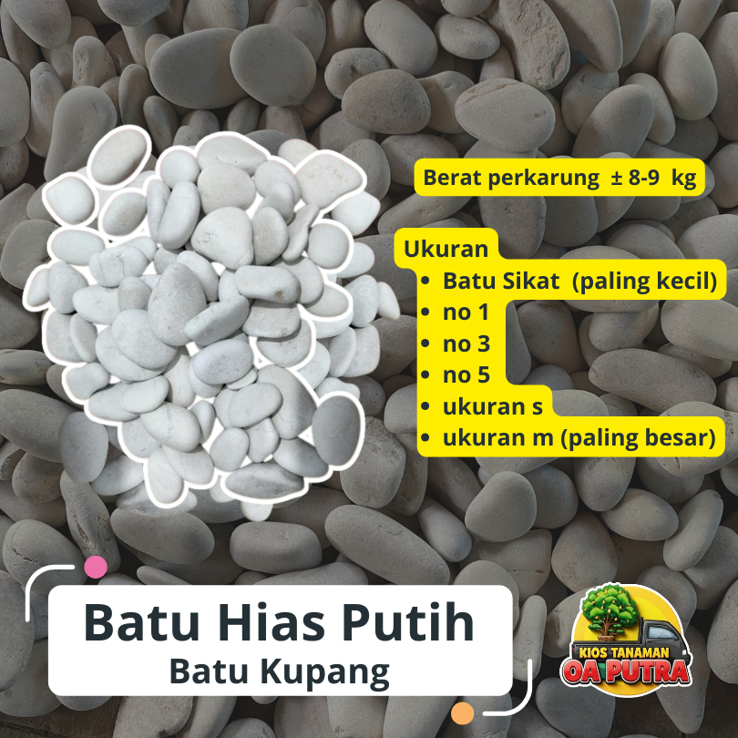 Batu hias putih atau batu kupang putih untuk dekorasi taman
