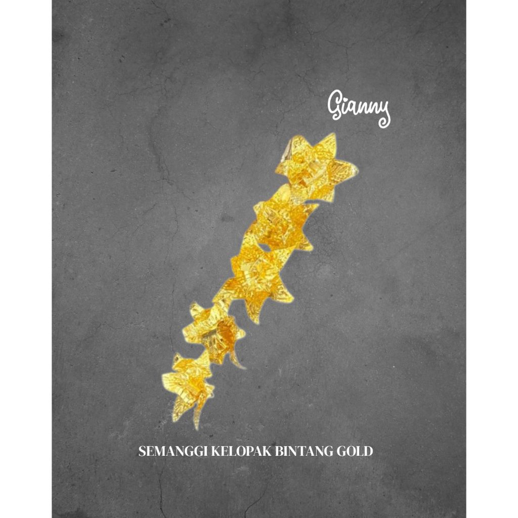 Semanggi Kelopak Bintang / Aksesoris Semanggi / Aksesoris Rambut