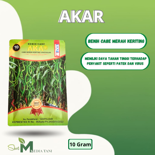 Cabe Unggul Akar Lokal Sumatra Asli Payakumbuh 10gOriginal Pabrik Cabe Akar Tahan Virus