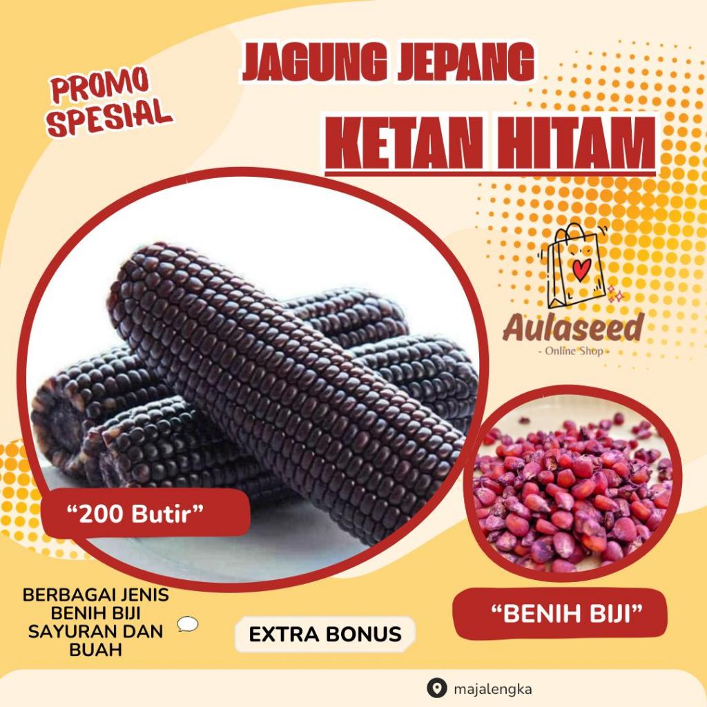 200 Butir> Benih Biji Jagung Ketan Hitam > Jagung Jepang Hitam> Bibit Jagung