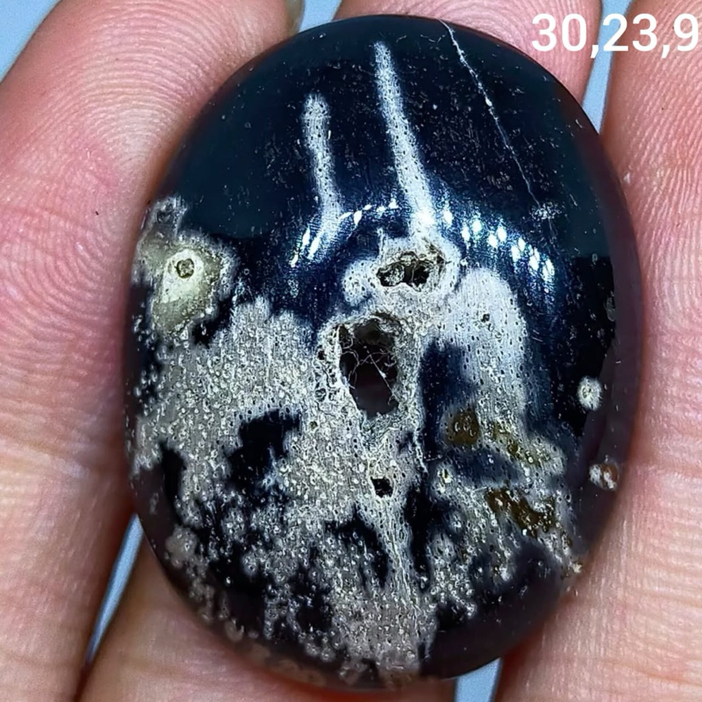 batu akik asli vosil kelor combong lubang 2 antik top hq natural (asli alam)