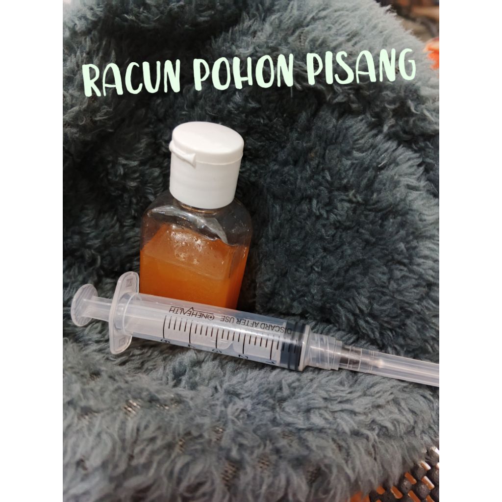 SUNTIK Racun Pohon Pisang, AMPUH 