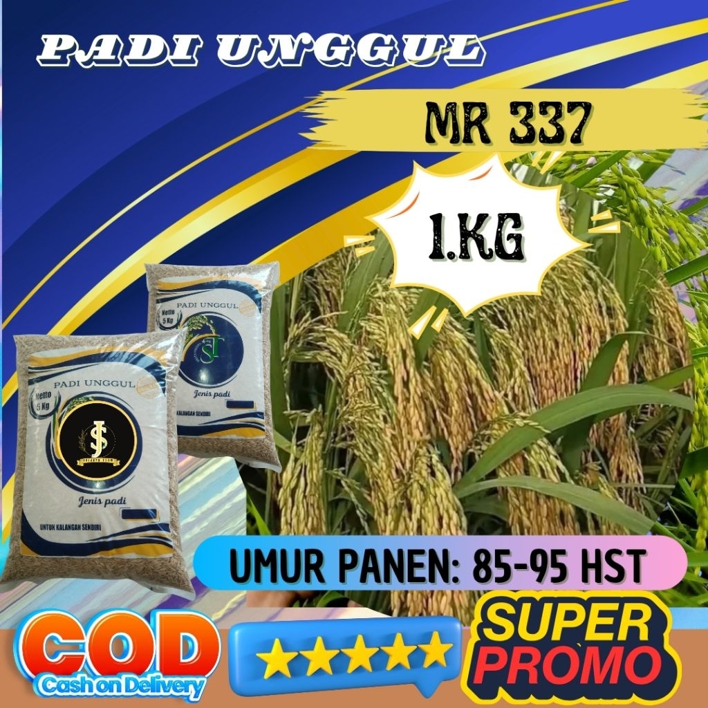 Benih padi unggul mr 337 original kemasan 1kg Berkualitas / Anti Roboh / Anti Hama - SRI JAYA FARM