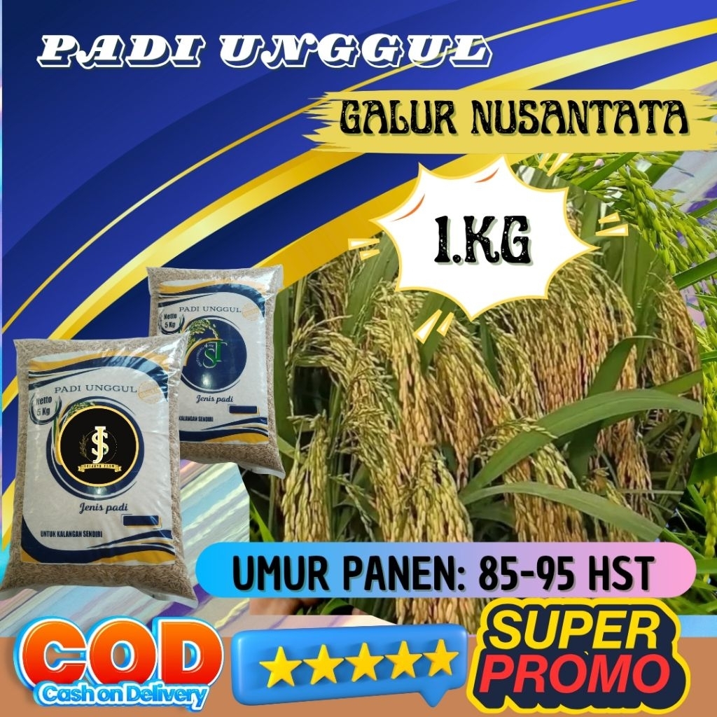 Benih padi unggul galur nusantara kemasan 1kg original Berkualitas / Anti Hama / Anti Roboh - SRI JA