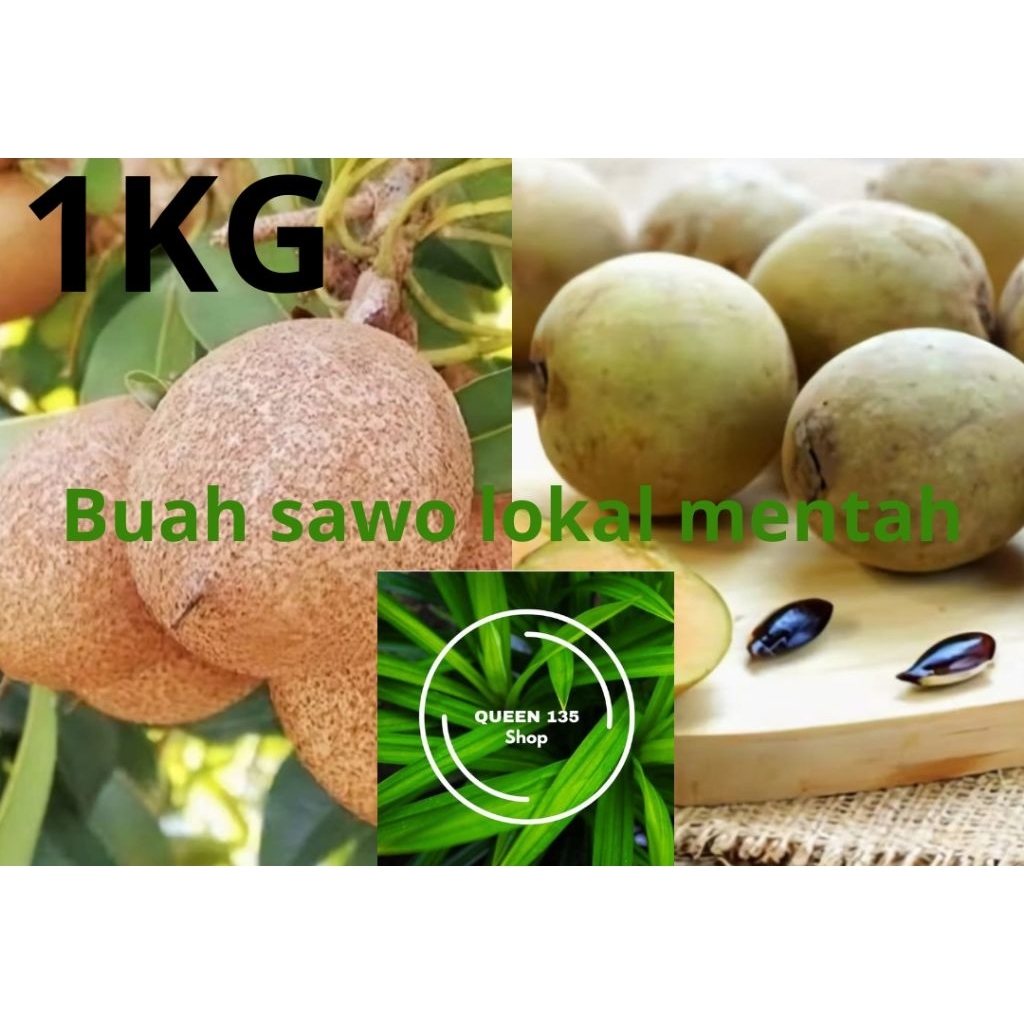 sawo mentah sawo mengkal sawo muda 1 kg