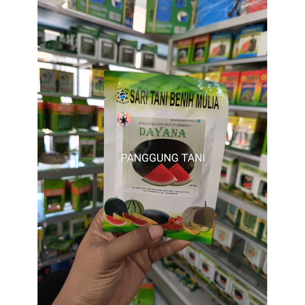 Benih Bibit Semangka Non Biji Dayana F1, Tipe juve Prime (Produksi Tinggi, Perawatan Mudah) Isi 300 