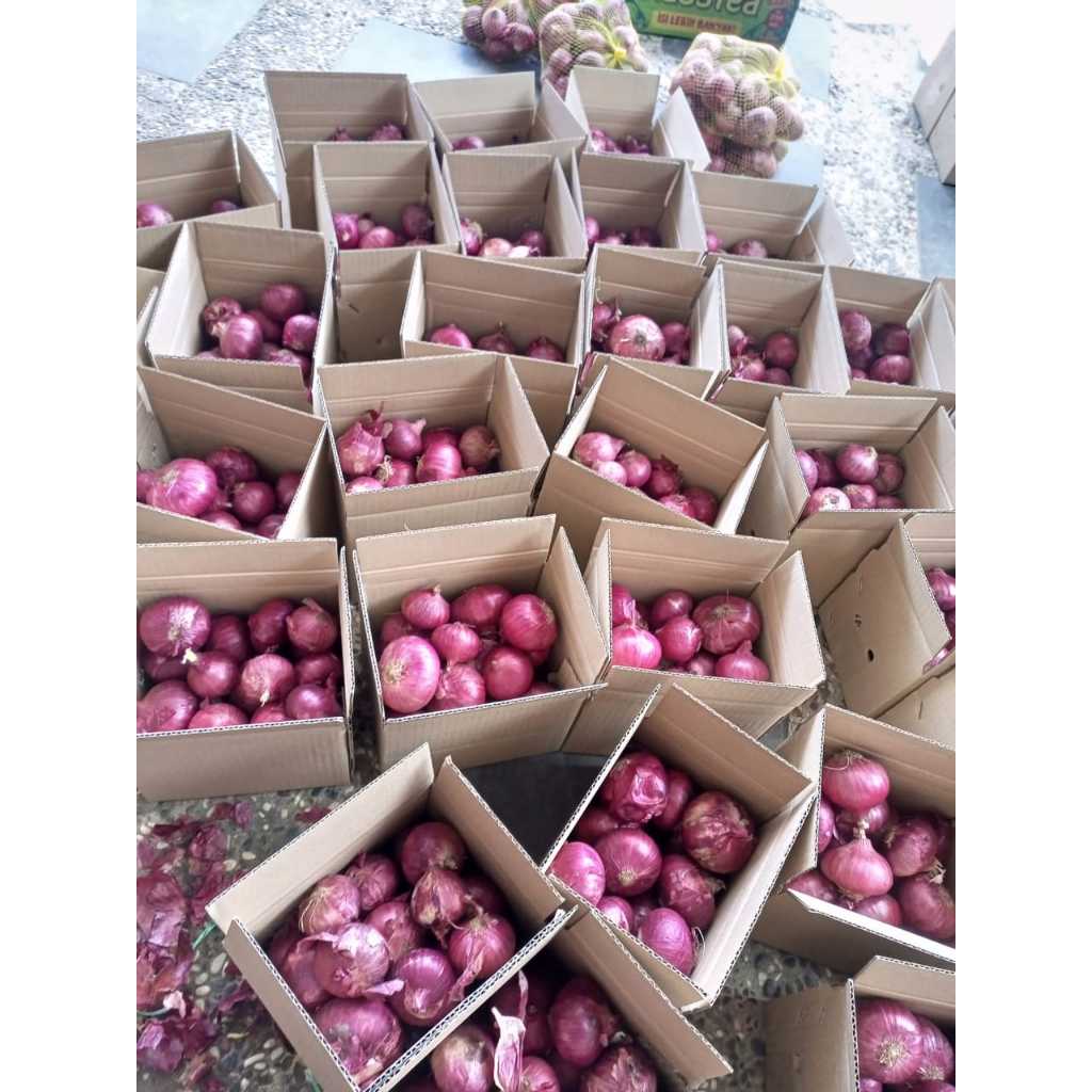 bawang merah murah 1kg termurah flash sale termurah diskon bawang merah import vietnam