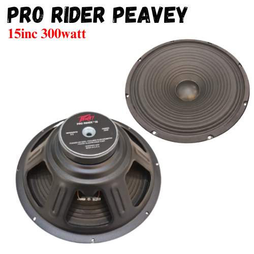 Komponen Speaker 15" 300 watt Speaker Component Pro Rider 15 Inch
