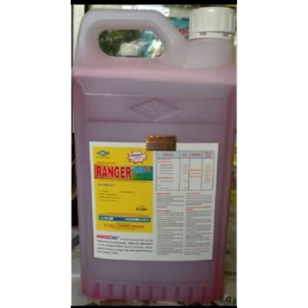 HERBISIDA RANGER 240 SL 5 LITER