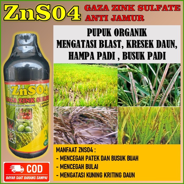 pupuk Znso4 zink Sulfate mengatasi kresek, blas, busuk, kuning daun, hampa padi