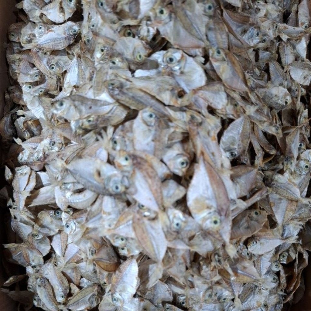 Ikan Dodok/Pirik Tawar