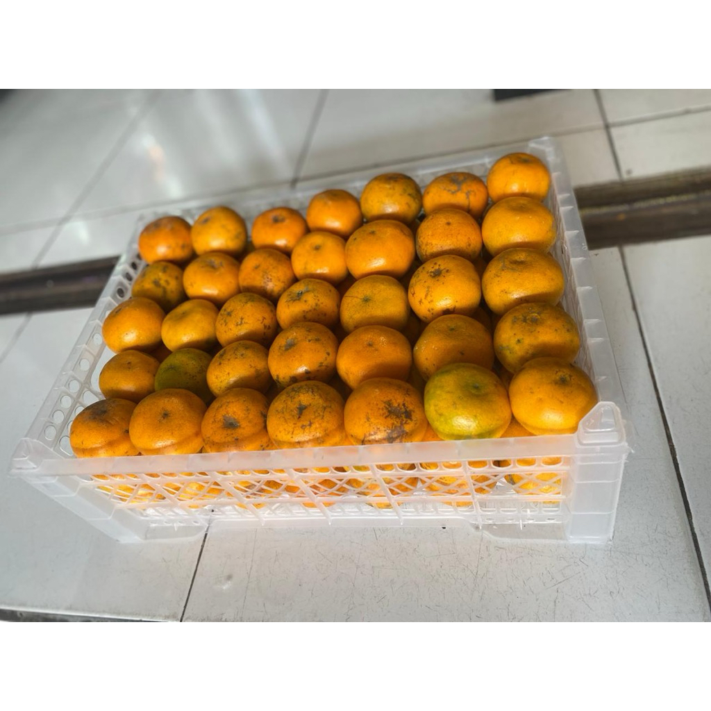 jeruk medan 1 keranjang